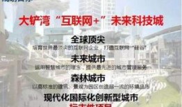 定南最新爆料,揭秘神秘事件背后的真相